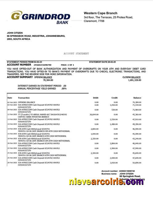 South Africa Grindrod Bank account statement Word and PDF
